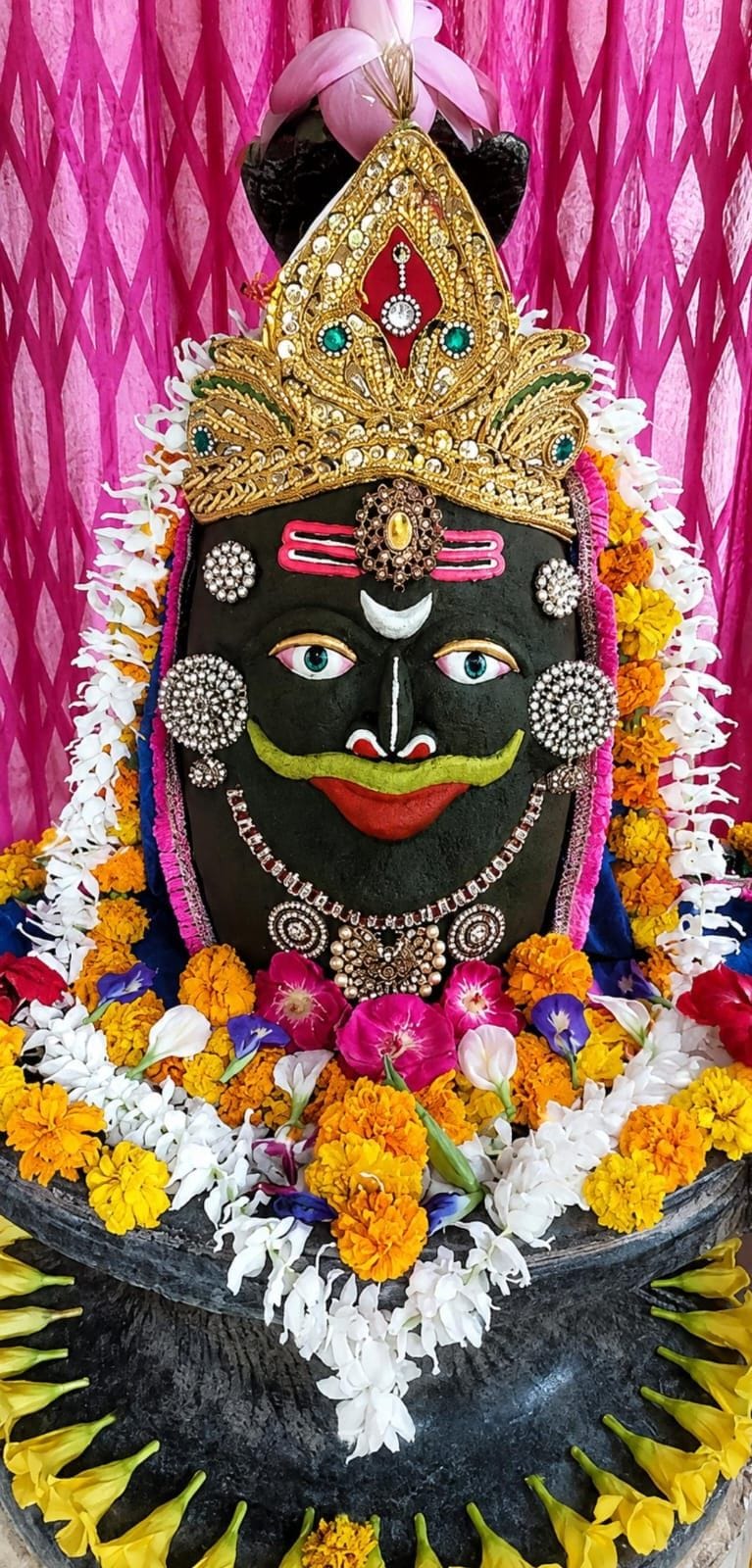सावन के पहले सोमवार को शिव मंदिरों में उमड़े श्रद्धालु व नागेश्वर महादेव मंदिर में भांग से किय