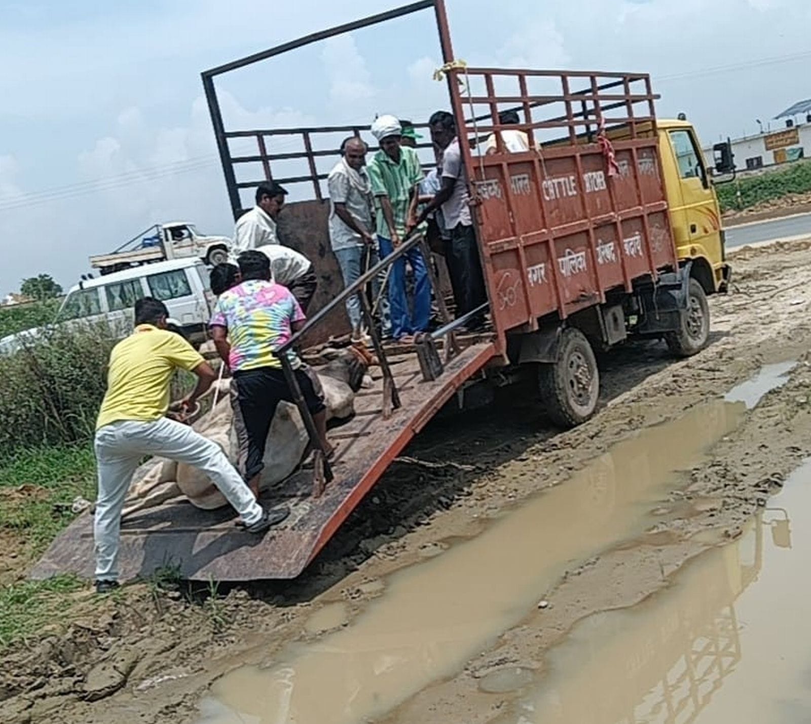 बरेली-मथुरा रोड से संरक्षित गोवंश का पकड़ा गया। स्रोत प्रशासन बरेली-मथुरा रोड से संरक्षित गोवंश का पकड़ा गया। स्रोत प्रशासन