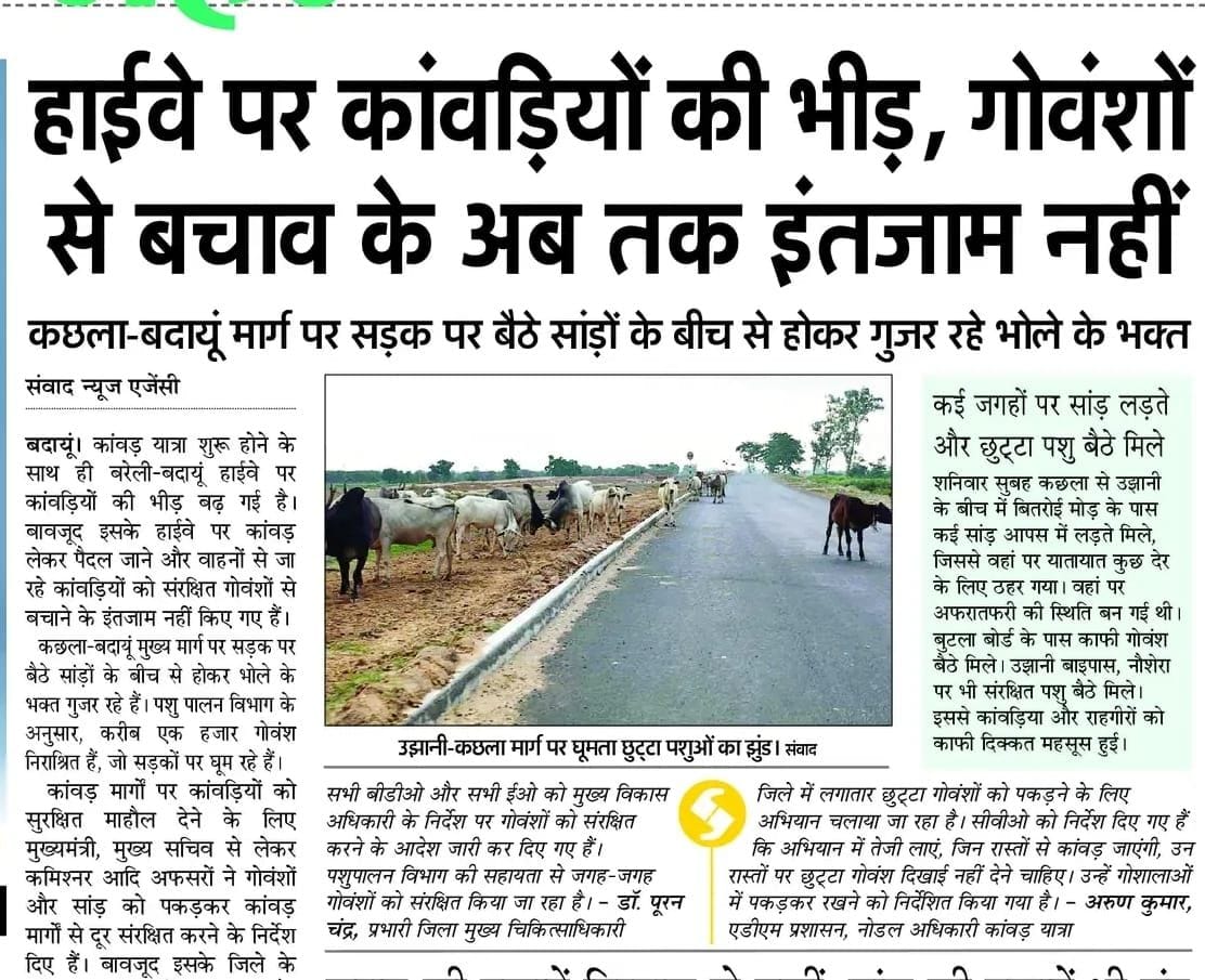 बरेली-मथुरा रोड से संरक्षित गोवंश का पकड़ा गया। स्रोत प्रशासन बरेली-मथुरा रोड से संरक्षित गोवंश का पकड़ा गया। स्रोत प्रशासन
