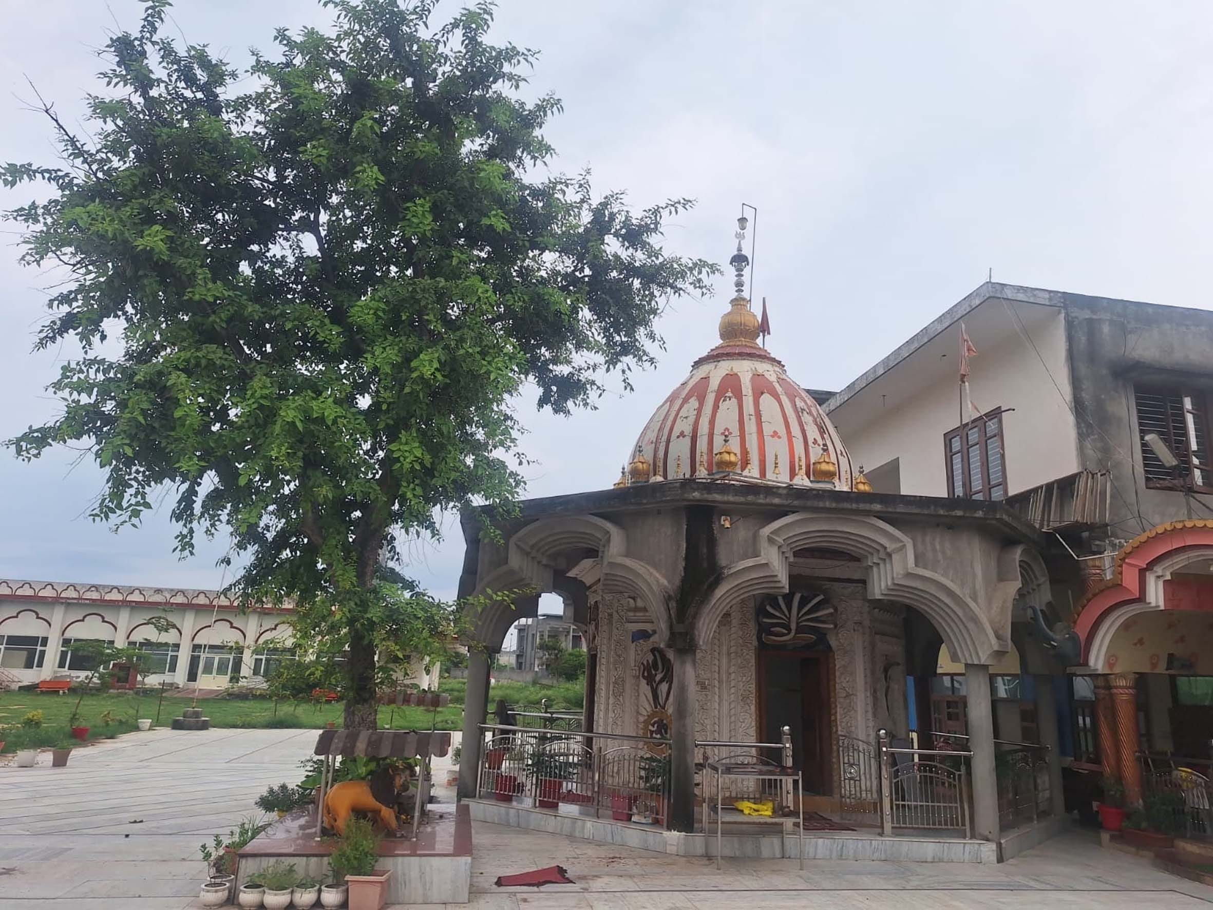 नर्मदेश्वर शिवलिंग पर नजर आ रही सर्प की आकृति। संवाद नर्मदेश्वर शिवलिंग पर नजर आ रही सर्प की आकृति। संवाद