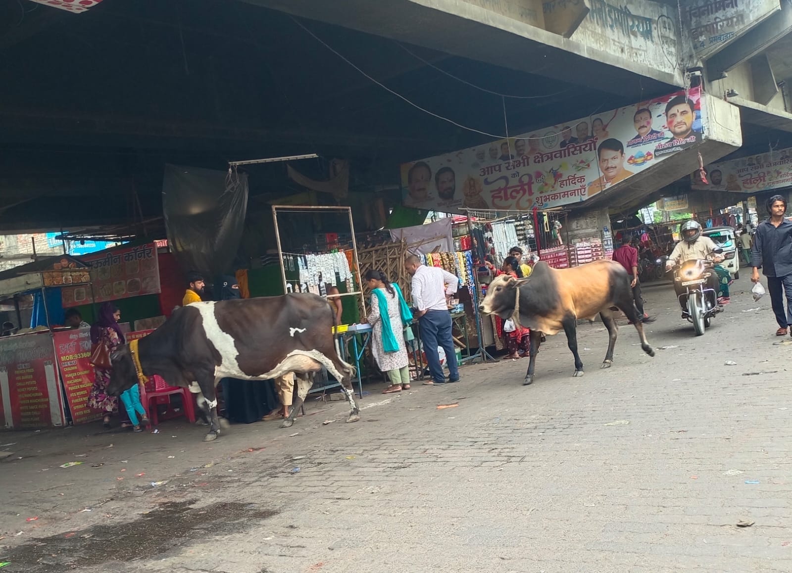 शहर में घूमते छुट्टा पशु। शहर में घूमते छुट्टा पशु।