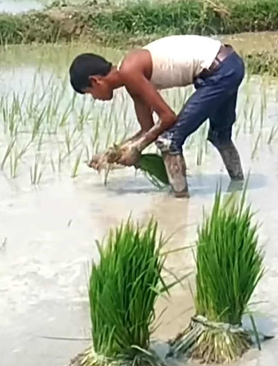 फोटो 05 सीकेटीपी 11 मऊ कस्बा में सड़क पर जलभराव के बीच निकलता वाहन। संवाद फोटो 05 सीकेटीपी 11 मऊ कस्बा में सड़क पर जलभराव के बीच निकलता वाहन। संवाद