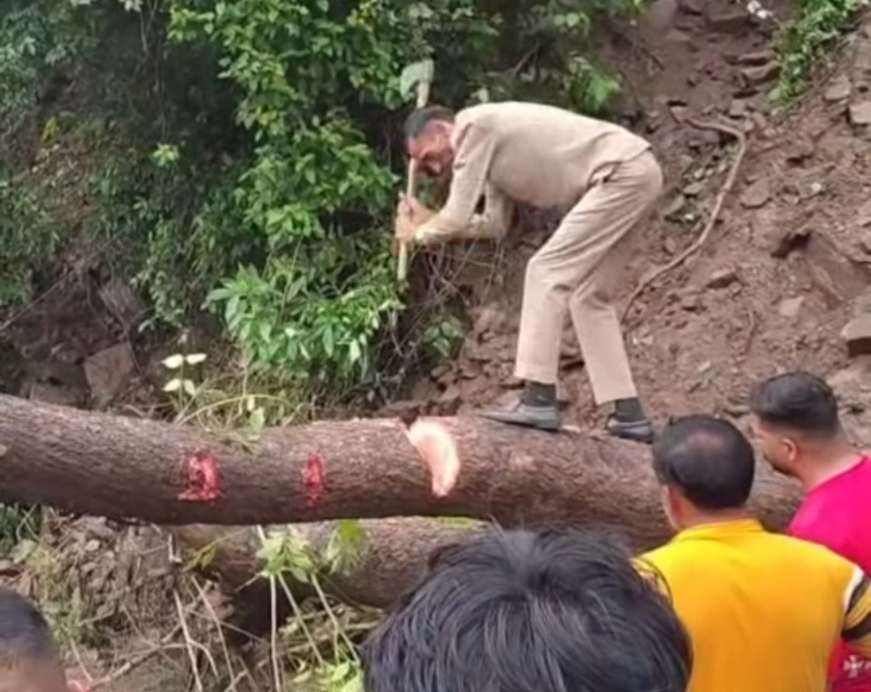 रामशहर-नालागढ़ मुख्य सड़क पर सिलनू पुल के पास सड़क पर गिरा पेड़। स्रोत : जागरूक पाठक रामशहर-नालागढ़ मुख्य सड़क पर सिलनू पुल के पास सड़क पर गिरा पेड़। स्रोत : जागरूक पाठक