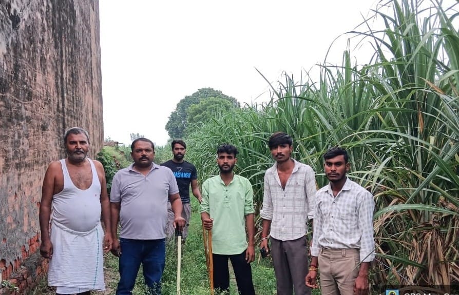 अहार क्षेत्र के गांव चांसी में तेंदुआ पकड़ने के लिए लगाया गया पिंजरा। संवाद