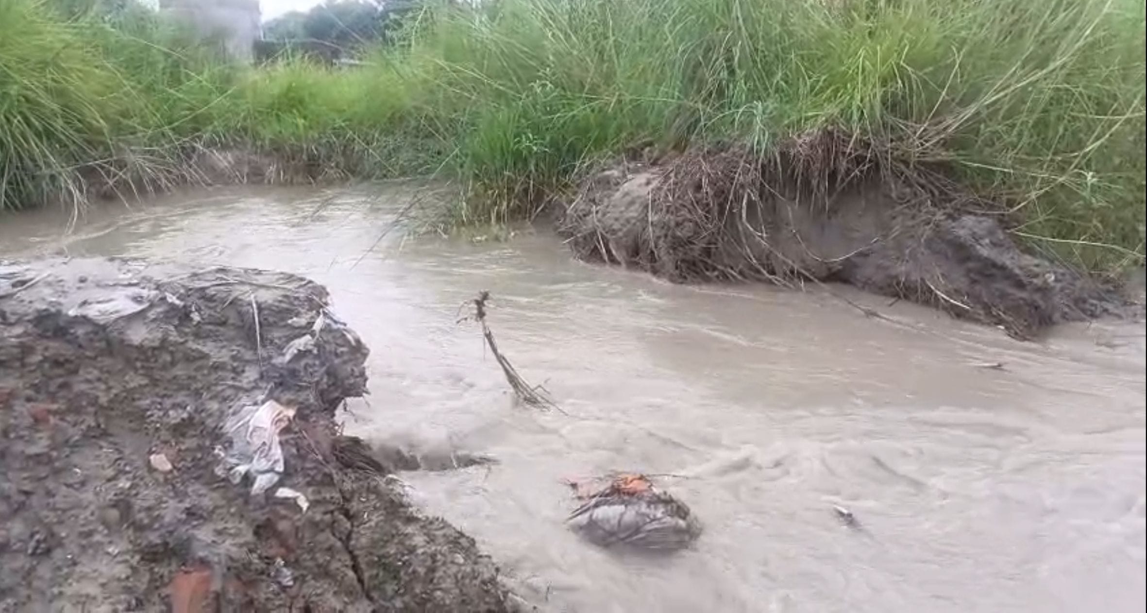डलमऊ क्षेत्र में गंगा का जलस्तर बढ़ा। 