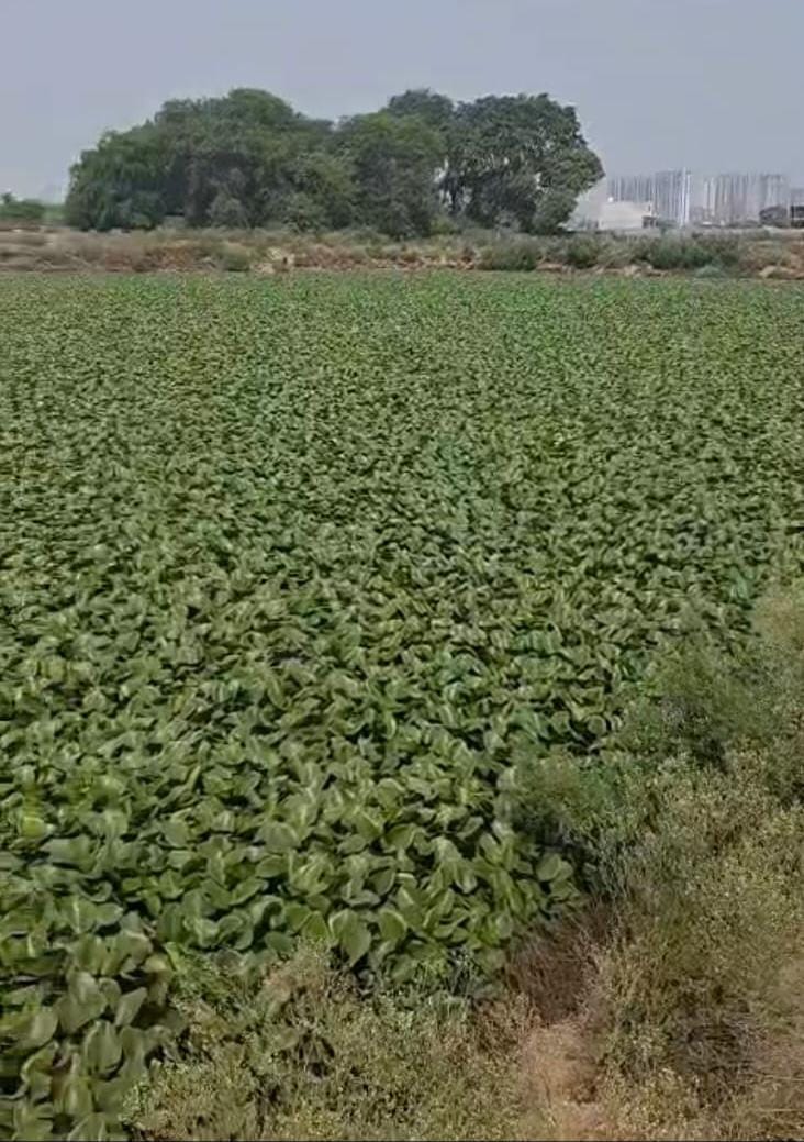 कुलदीप प्रधान कुलदीप प्रधान