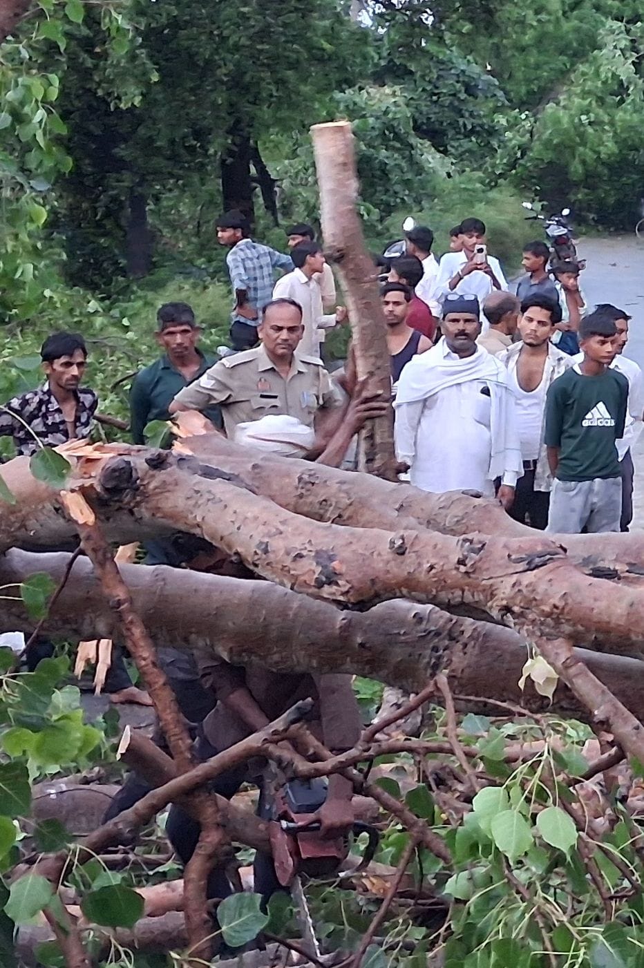 कादरचौक-मैनपुरी रोड पर पेड़ गिरने के बाद में खड़े राहगीर। संवाद