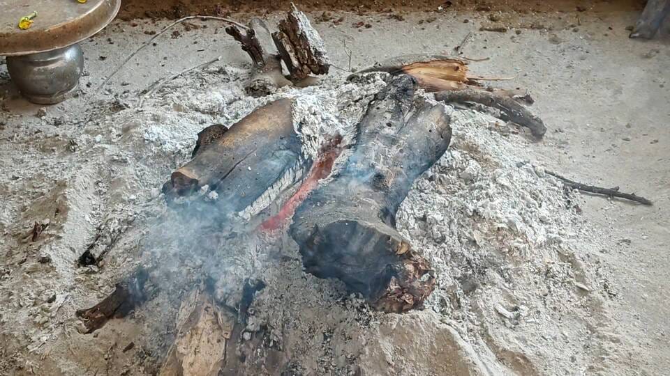 पेड़ पर झोपड़ी बनाकर साधना कर रहे टाइगर बाबा