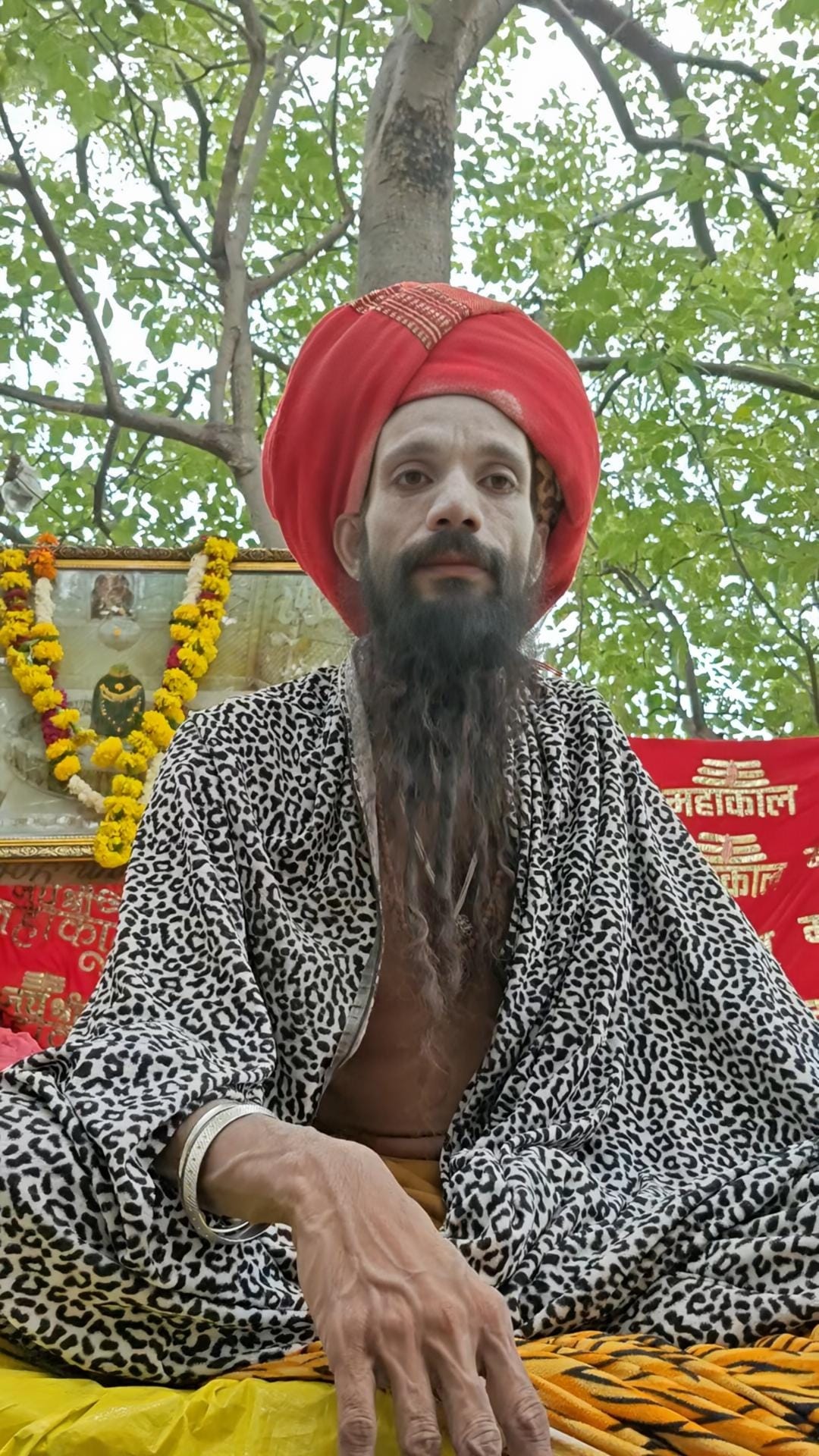 पेड़ पर झोपड़ी बनाकर साधना कर रहे टाइगर बाबा