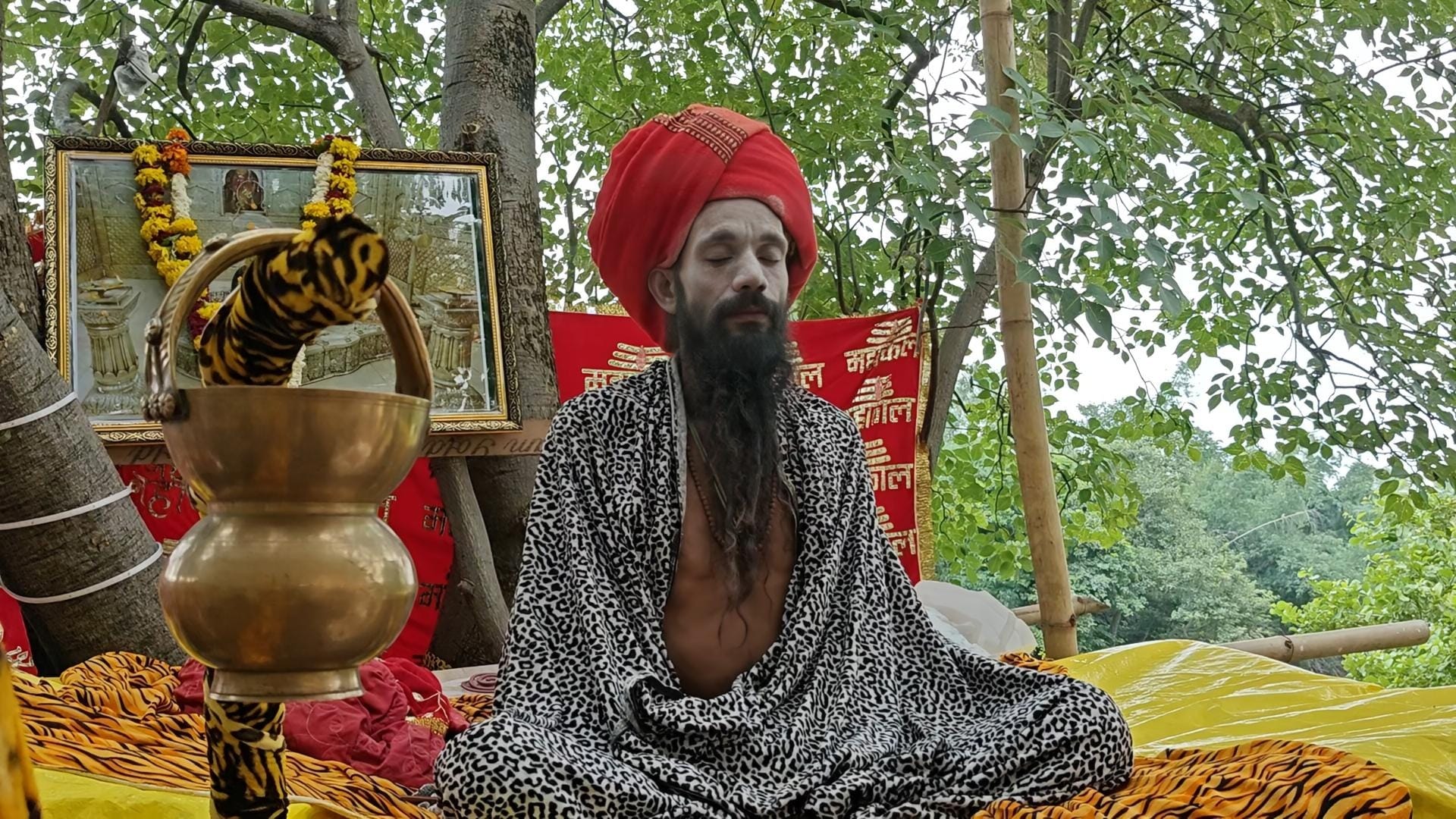 पेड़ पर झोपड़ी बनाकर साधना कर रहे टाइगर बाबा