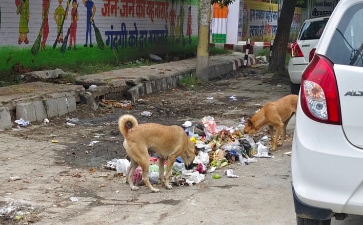 नगर परिषद कार्यालय में धरने पर बैठे कर्मचारी। संवाद नगर परिषद कार्यालय में धरने पर बैठे कर्मचारी। संवाद