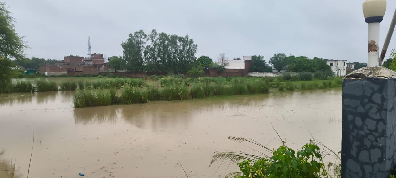 धान की फसल में कीटनाशक का छिड़काव करते किसान। संवाद धान की फसल में कीटनाशक का छिड़काव करते किसान। संवाद