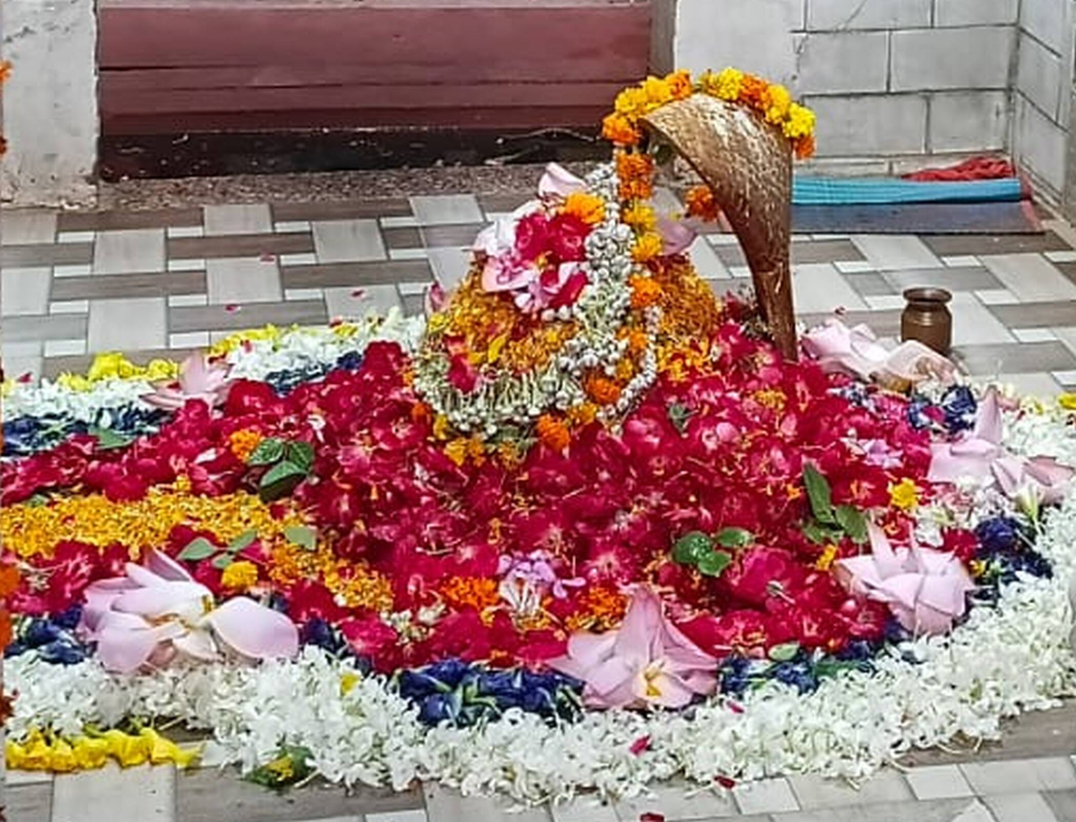 फोटो-45-तांबेश्वर मंदिर में स्थापित शिवलिंग। संवाद