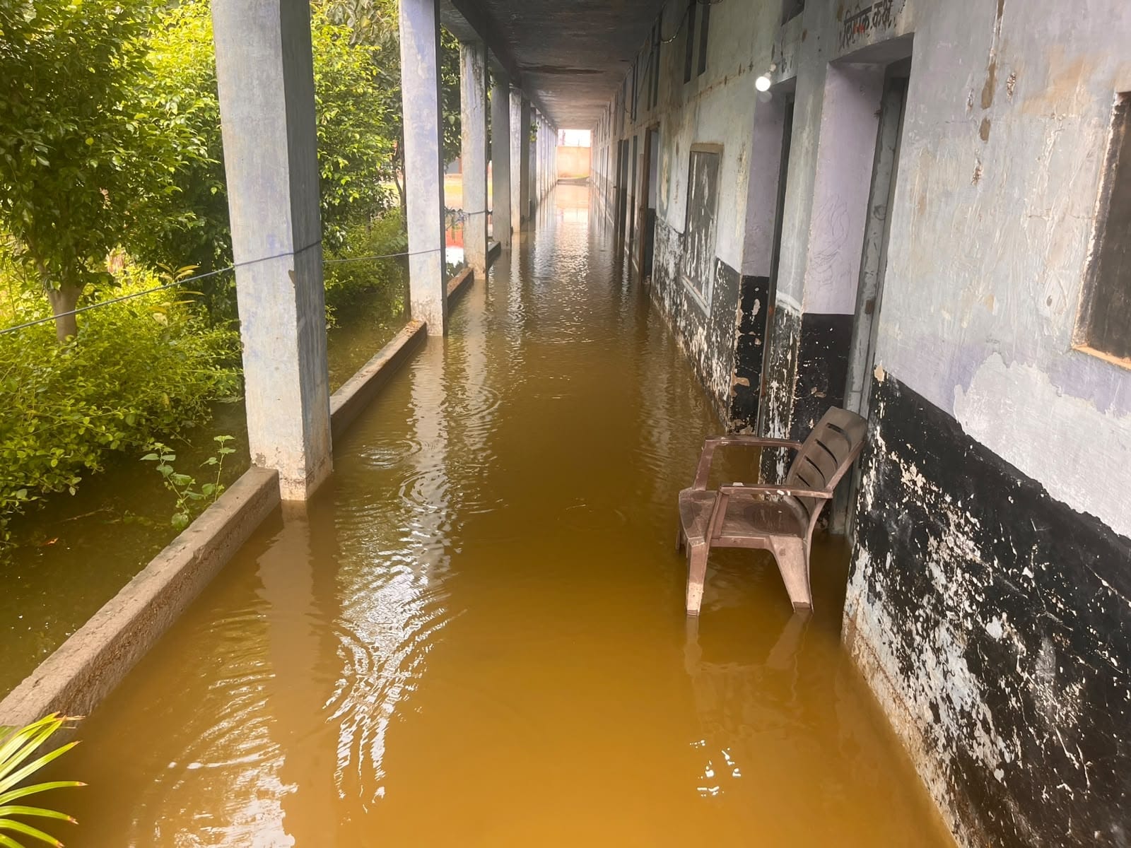 गांव चांग की गली के अंदर जमा बारिश का पानी। गांव चांग की गली के अंदर जमा बारिश का पानी।