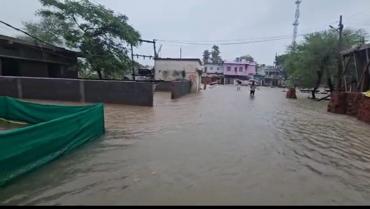 जगह जगह हुआ जल जमाव।