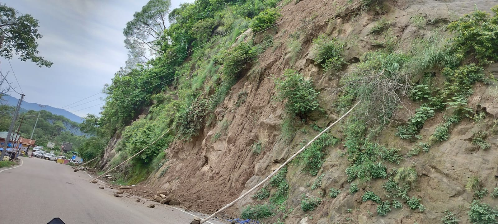 रेणु शर्मा,निवासी चकमोह।
