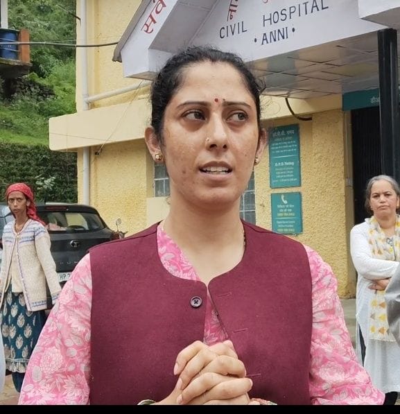आनी में पहाड़ से गिरे मलबे के नीचे दब कर क्षतिग्रस्त हुई कार। संवाद
