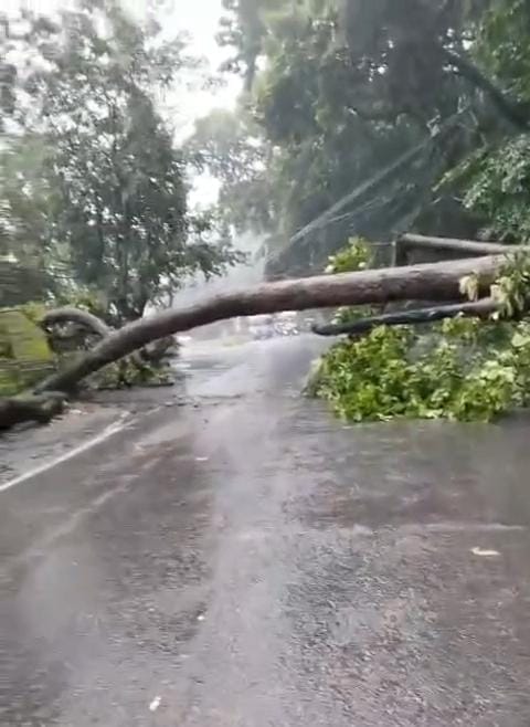 बारिश से जल स्तर बढ़ने के बाद रेणुकाजी झील का नजारा। संवाद बारिश से जल स्तर बढ़ने के बाद रेणुकाजी झील का नजारा। संवाद