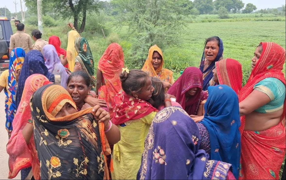 फोटो :17: छोटे शंखवार की फाइल फोटो। फोटो :17: छोटे शंखवार की फाइल फोटो।