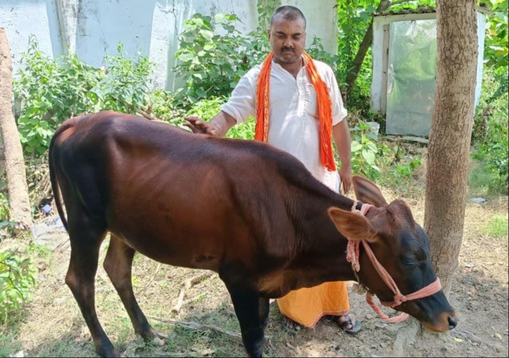 पशुओं के साथ किसान। संवाद