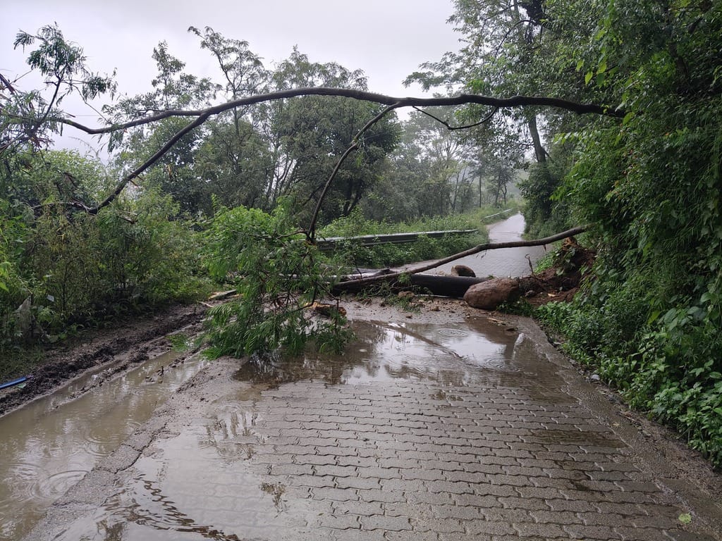 धर्मशाला के सकोह में बारिश से ढहा पुराना कच्चा मकान। अमर उजाला