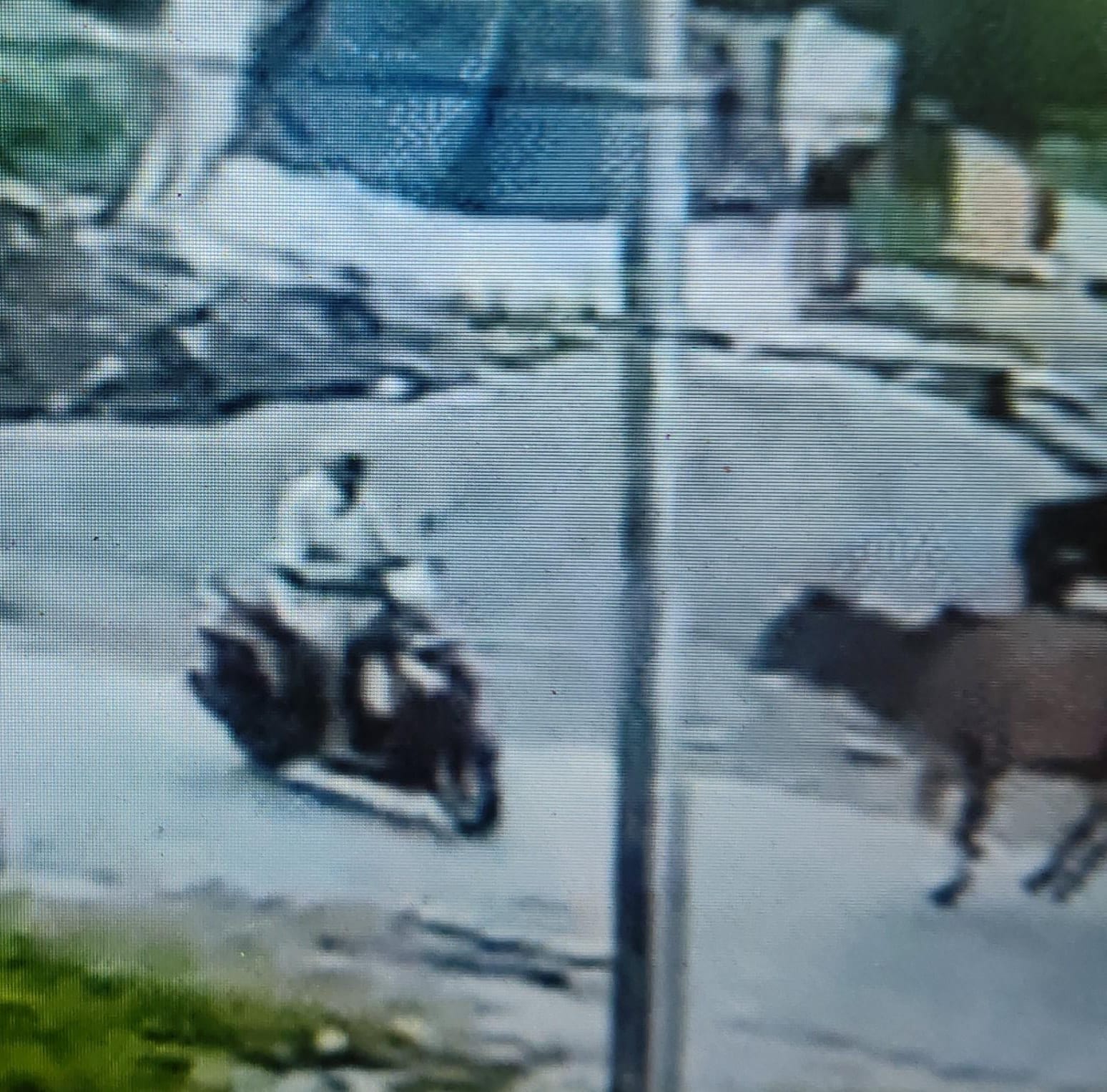 जगराम यादव जगराम यादव