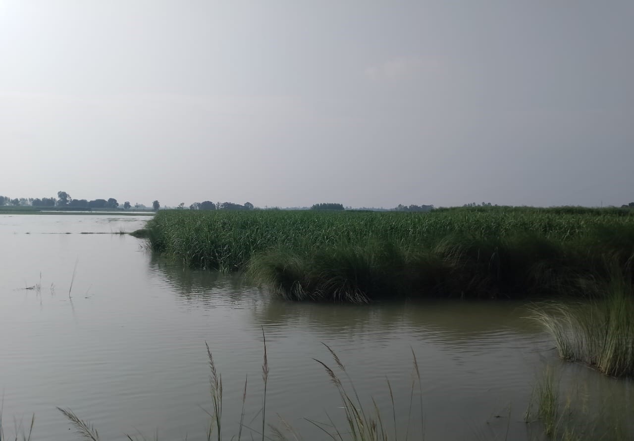 जलालाबाद-शमसाबाद स्टेट हाईवे पर पानी से गुजरते वाहन। संवाद जलालाबाद-शमसाबाद स्टेट हाईवे पर पानी से गुजरते वाहन। संवाद