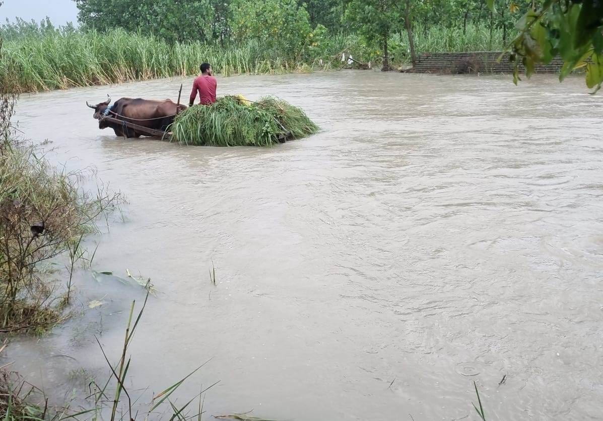 मेरठ पौड़ी हाईवे पर बिजनौर में आदर्श नगर के सामने हुए जलभराव से निकलते वाहन। संवाद मेरठ पौड़ी हाईवे पर बिजनौर में आदर्श नगर के सामने हुए जलभराव से निकलते वाहन। संवाद