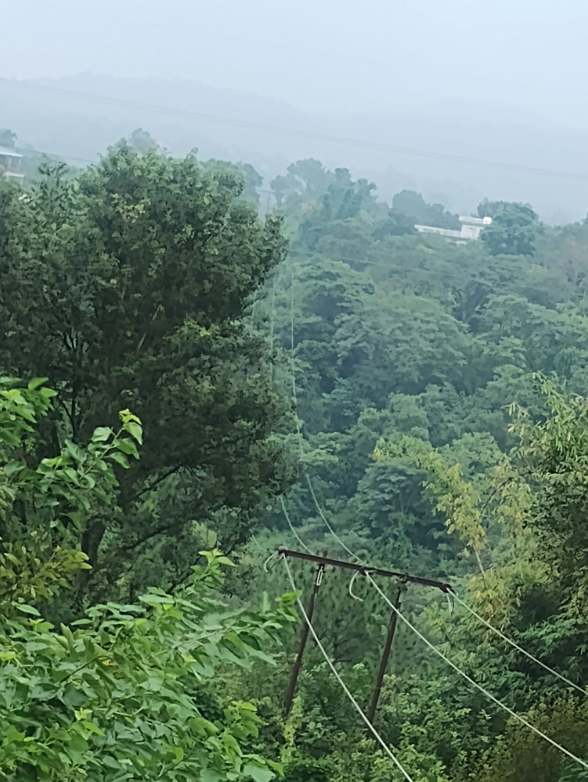 रजनीश, निवासी डिडवीं