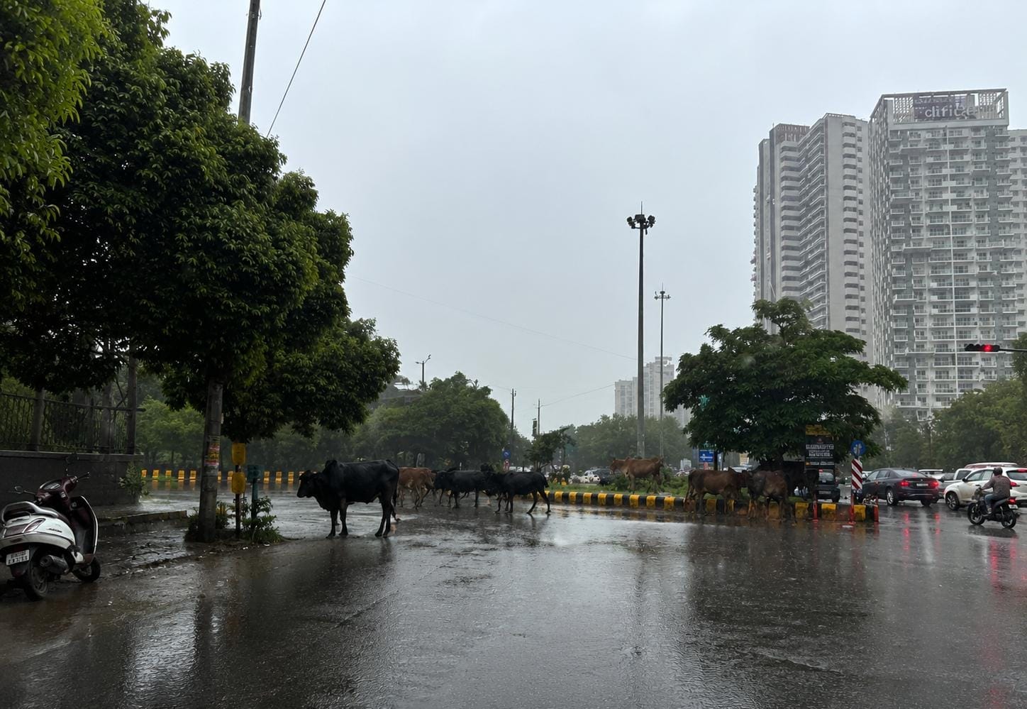सुरोजीत