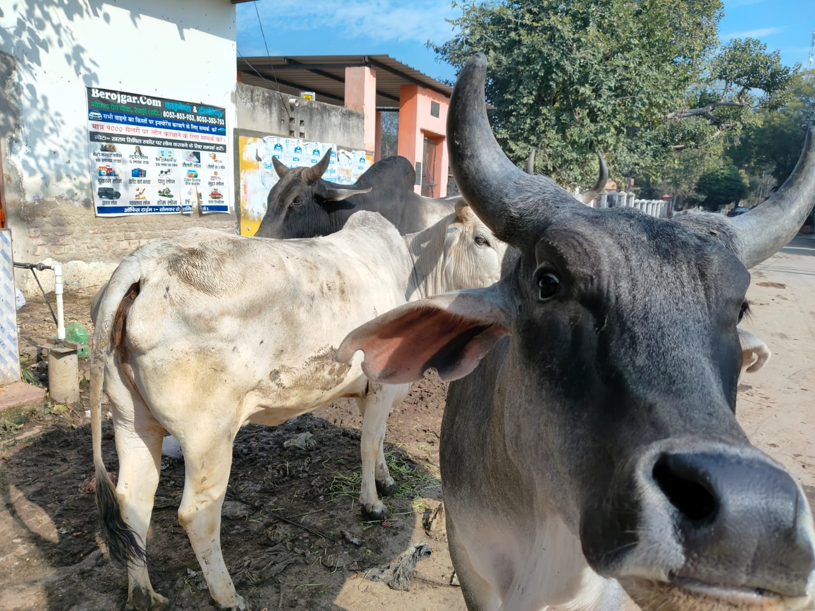 डीसी अभिषेक मीणा को ज्ञापन सौंपते लोग। स्रोत : संगठन