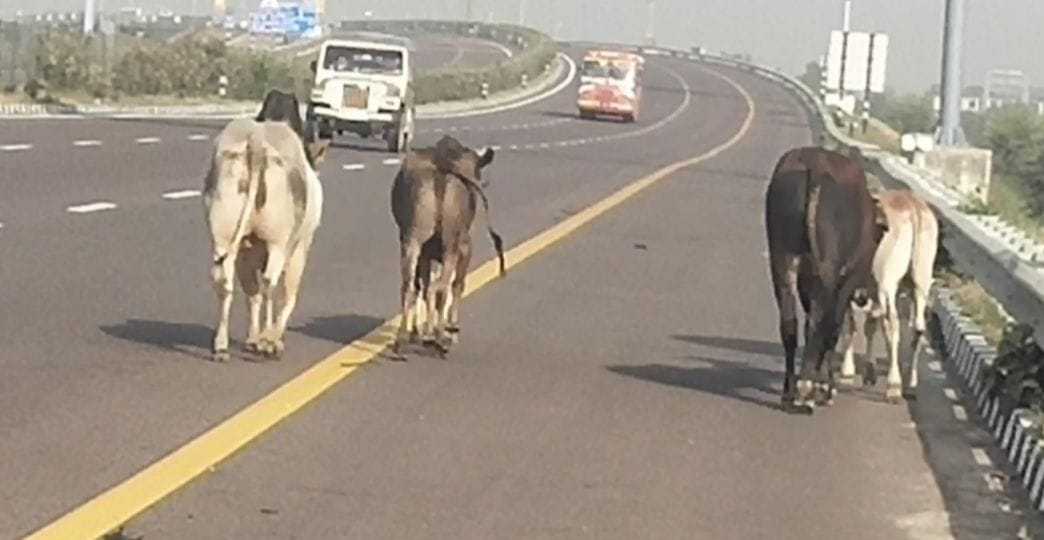 फोटो-6- हवाई पट्टी के पास टूटी सुरक्षा जाली और लोहे की बैरीकेटिंग। संवाद