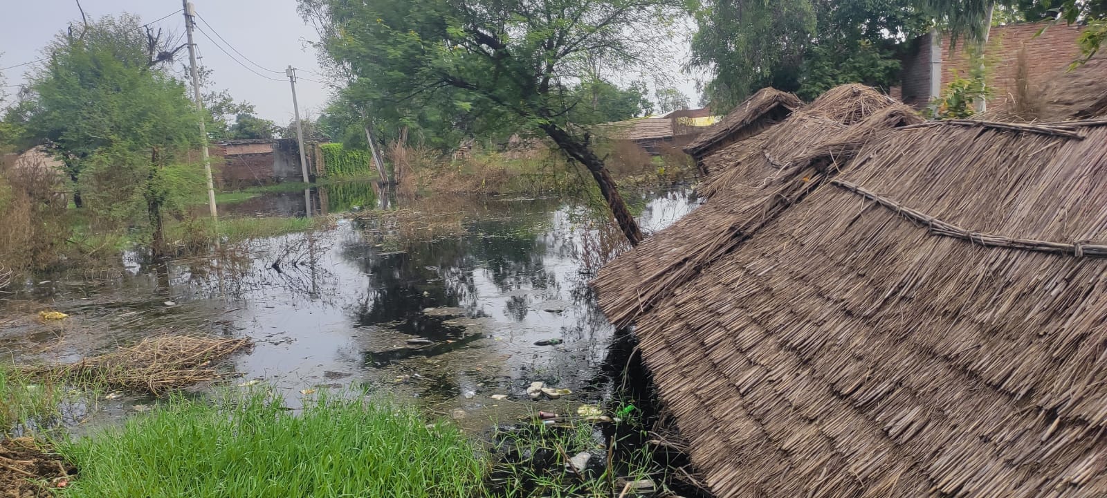 फोटो49 -पटियाली में बाढ़ ग्रस्त इलाके का निरीक्षण करते एडीएम दिग्विजय सिंह साथ में एसडीएम। संव