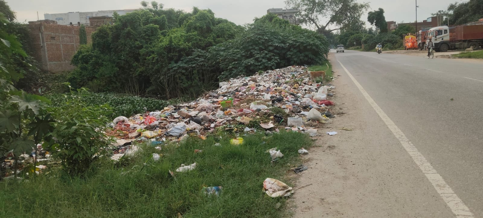 दुबारी गांव में काली माता मंदिर के सामने रास्ते पर लगा कचरे का ढेर। संवाद दुबारी गांव में काली माता मंदिर के सामने रास्ते पर लगा कचरे का ढेर। संवाद