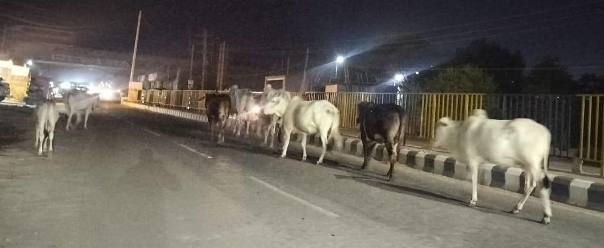 फोटो 14जेएनडी28-रोहतक रोड पर बारिश के बाद गली में भरा पानी। संवाद फोटो 14जेएनडी28-रोहतक रोड पर बारिश के बाद गली में भरा पानी। संवाद