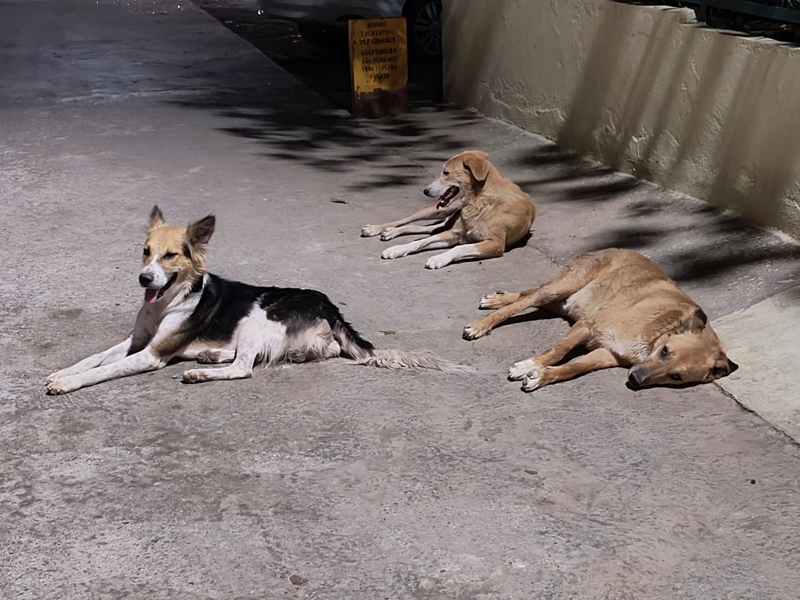 सेक्टर 1 में टूटी सड़क। संवाद सेक्टर 1 में टूटी सड़क। संवाद