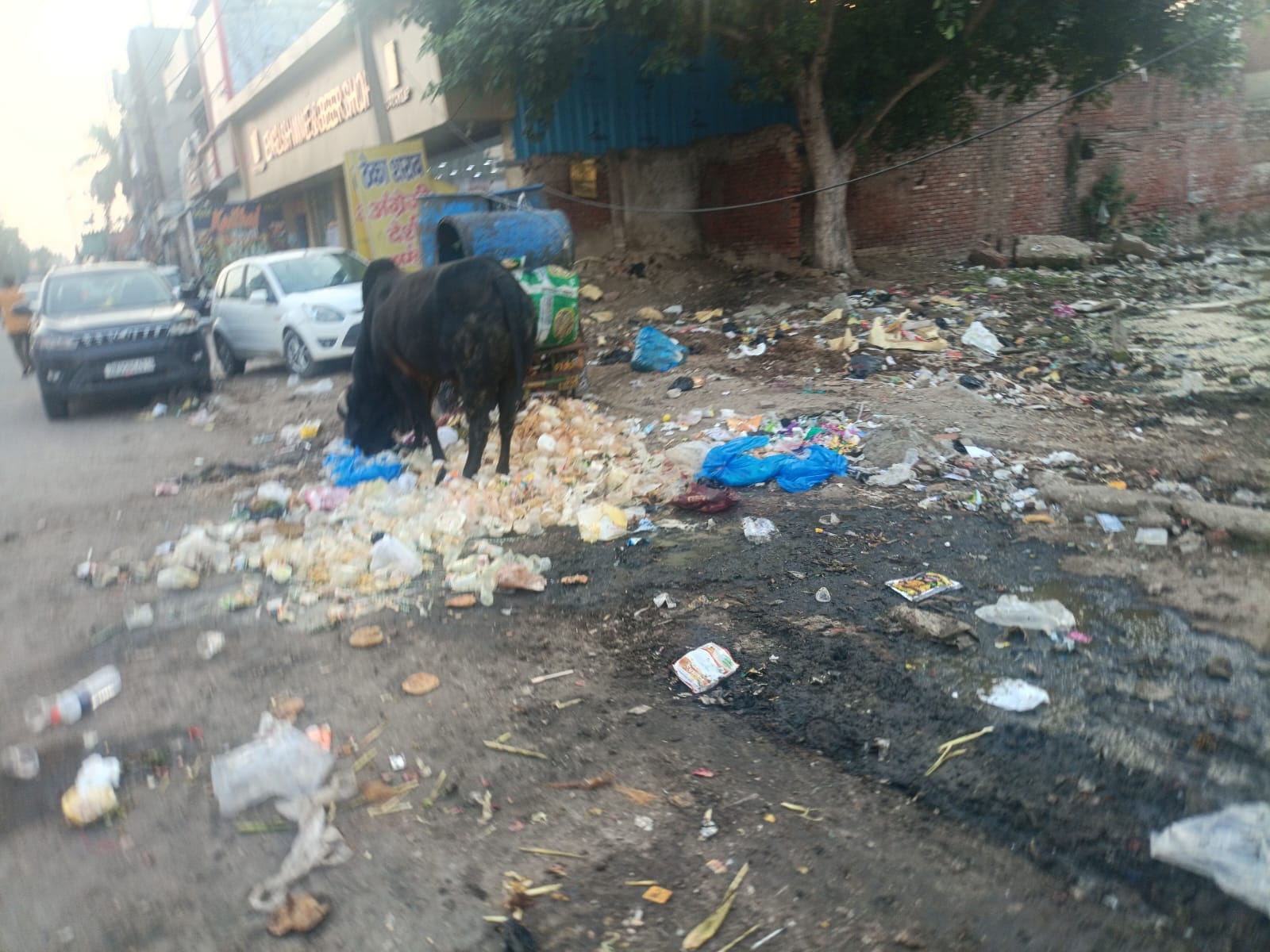 अंबाला रोड के नजदीक लगा कूड़ा का ढेर। संवाद