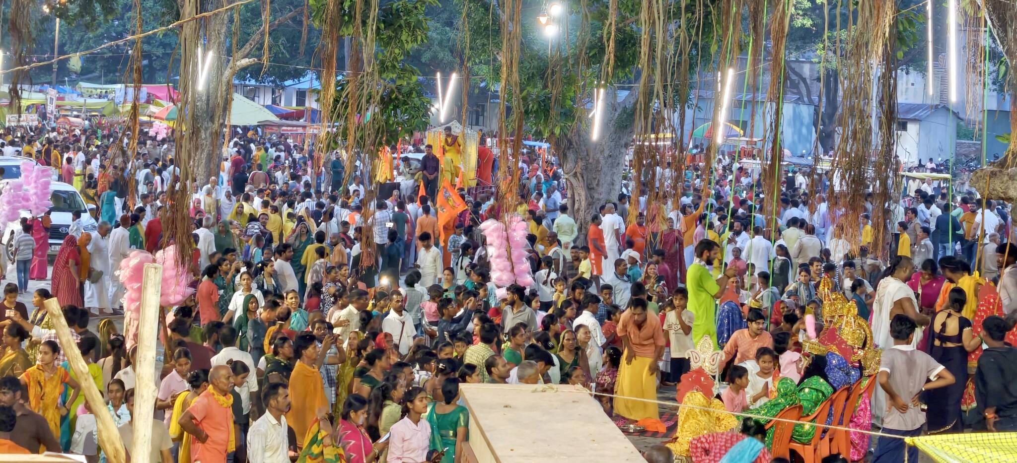 भगवान के स्वरूप को झूला झुलाते श्रद्धालुगण।