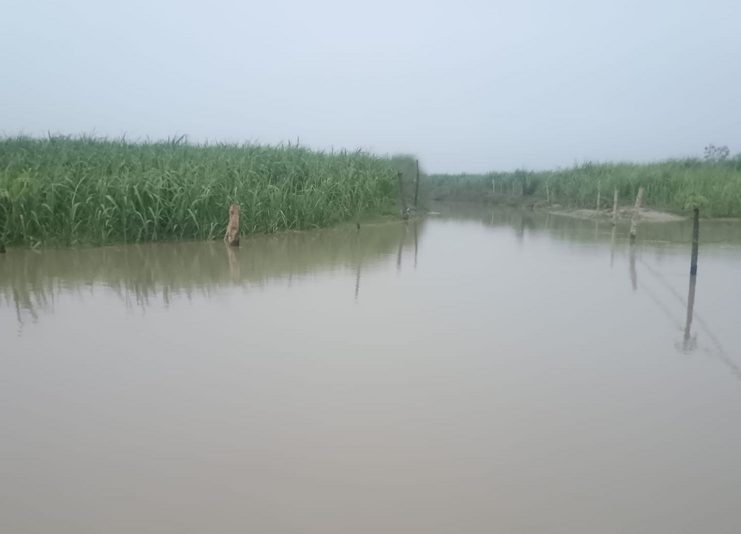बाढ़ के हालात और मौके पर मौजूद अधिकारी। -संवाद
