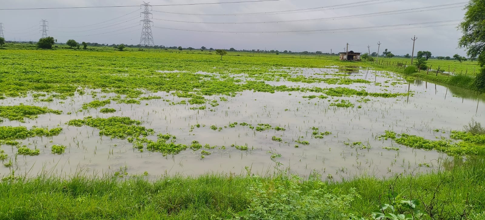 फोटो - 10 कोंच में बारिश के बाद बाइक तक सड़क पर भरा पानी। संवाद