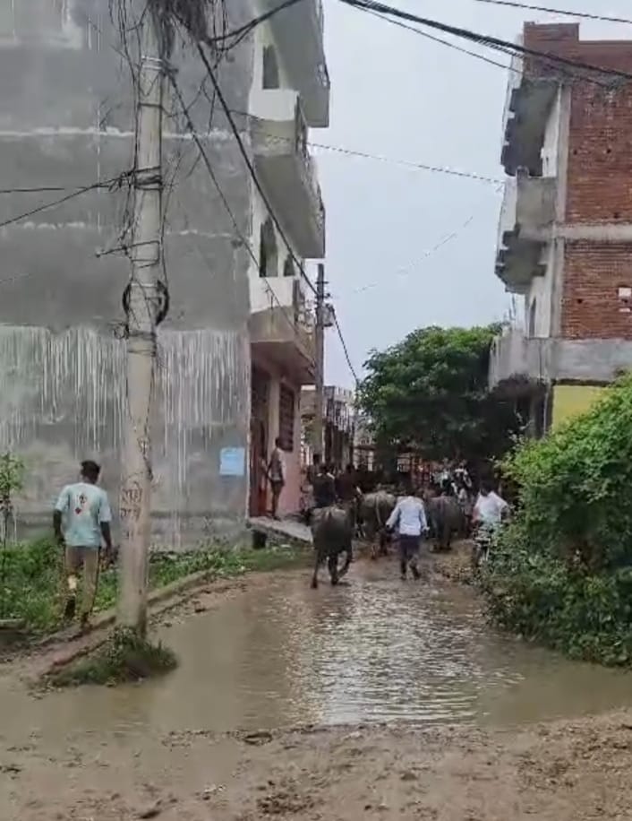 घायल दरोगा और घटनास्थल की फुटेज। घायल दरोगा और घटनास्थल की फुटेज।