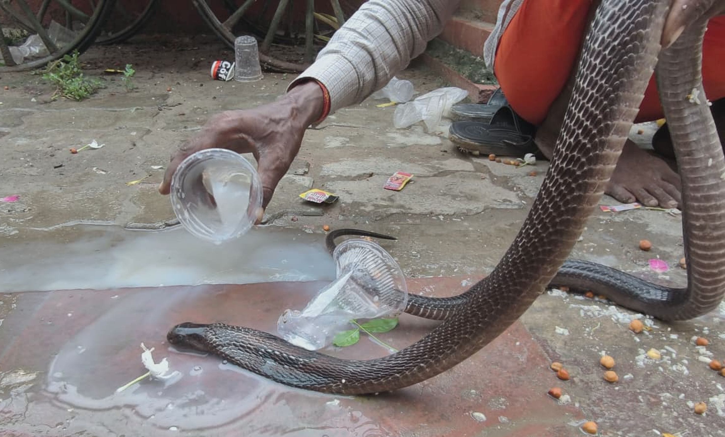 क्षीरेश्वरनाथ मंदिर में जलाभिषेक करते श्रद्धालुगण।