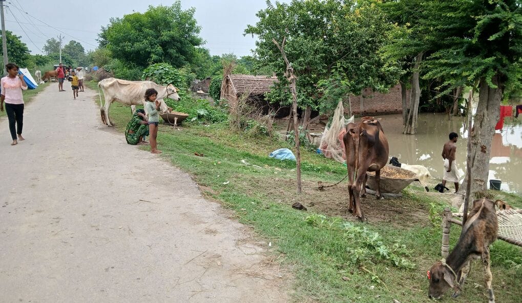 बाढ़ से घरों में पानी भर गया। क्षेत्र के हालात कुछ इस तरह नजर आए। संवाद