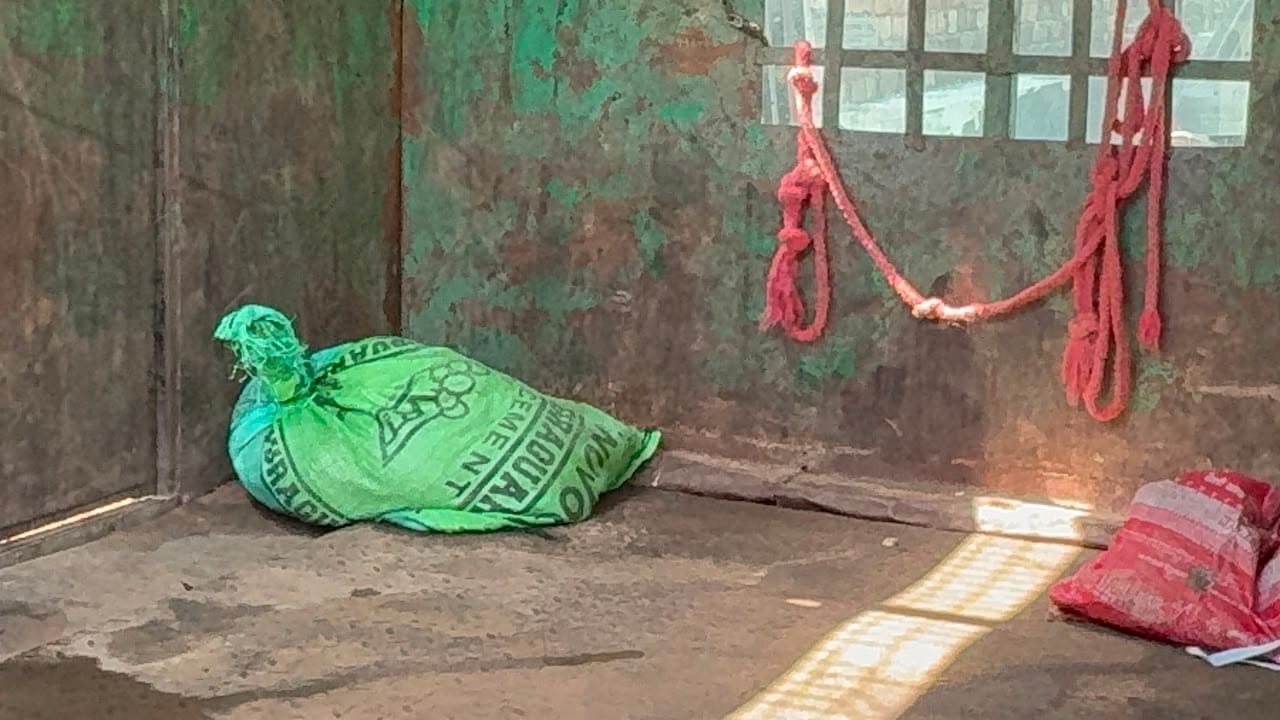 कार से बरामद कछुए। 