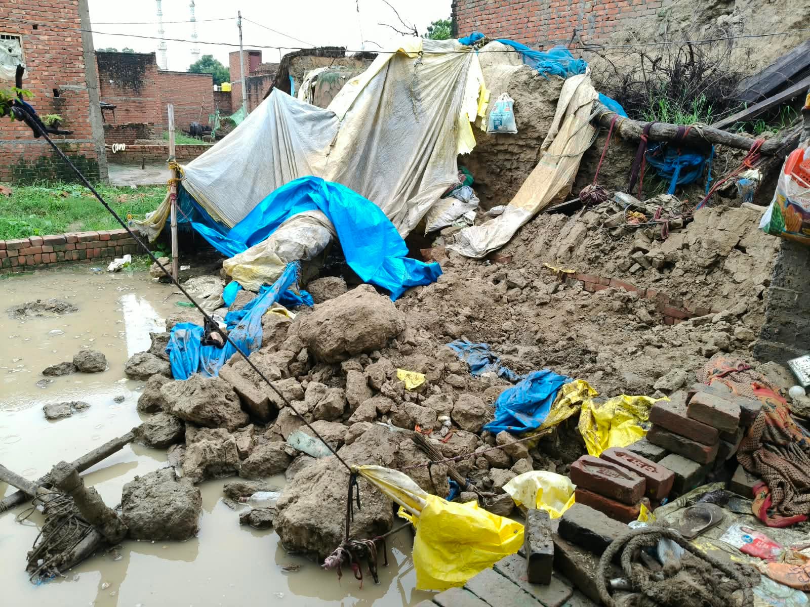 फोटो-1 ज्योति। फाइल फोटो