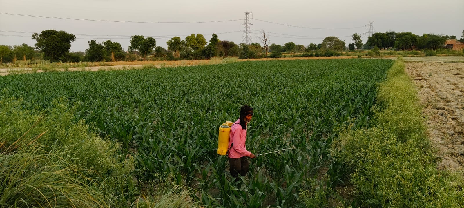 शहर के दिबियापुर रोड पर जलभराव के बीच निकलते वाहन। संवाद