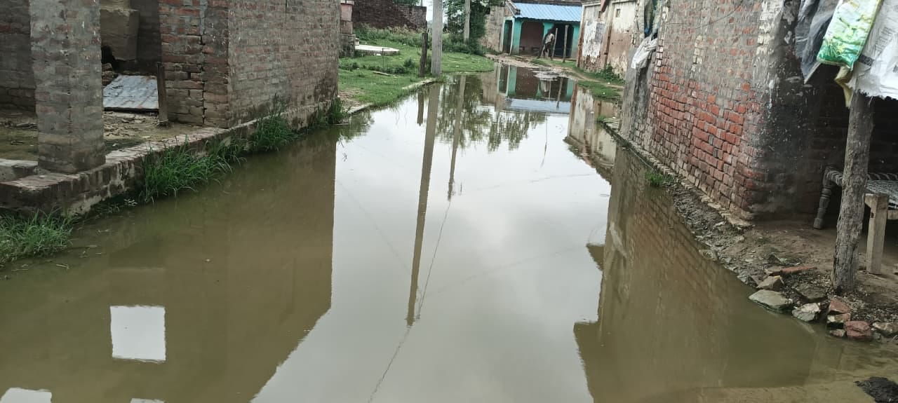 भरा पानी भरा पानी