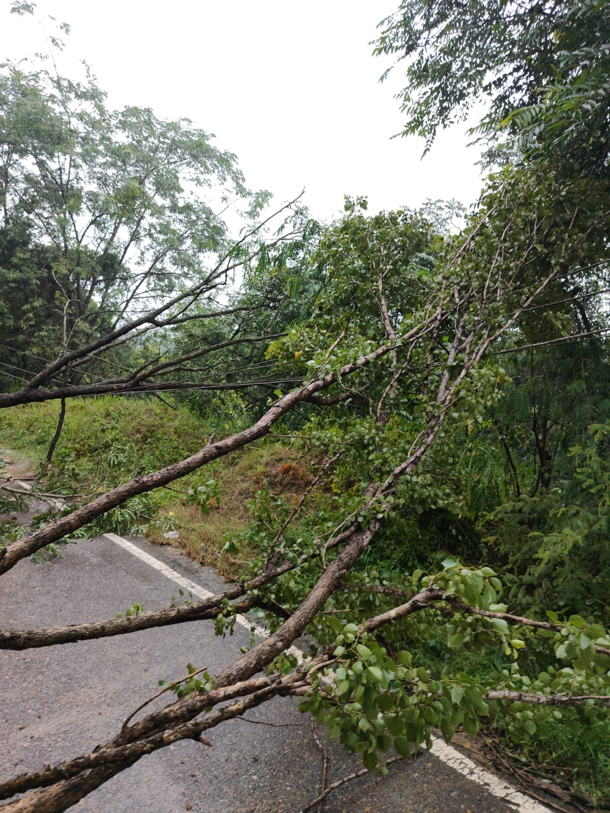 कश्मीर गांव में मुख्य सड़क के साथ भूस्खलन के कारण मकानों में घुसे मलबे से हुए नुकसान का आकलन कर