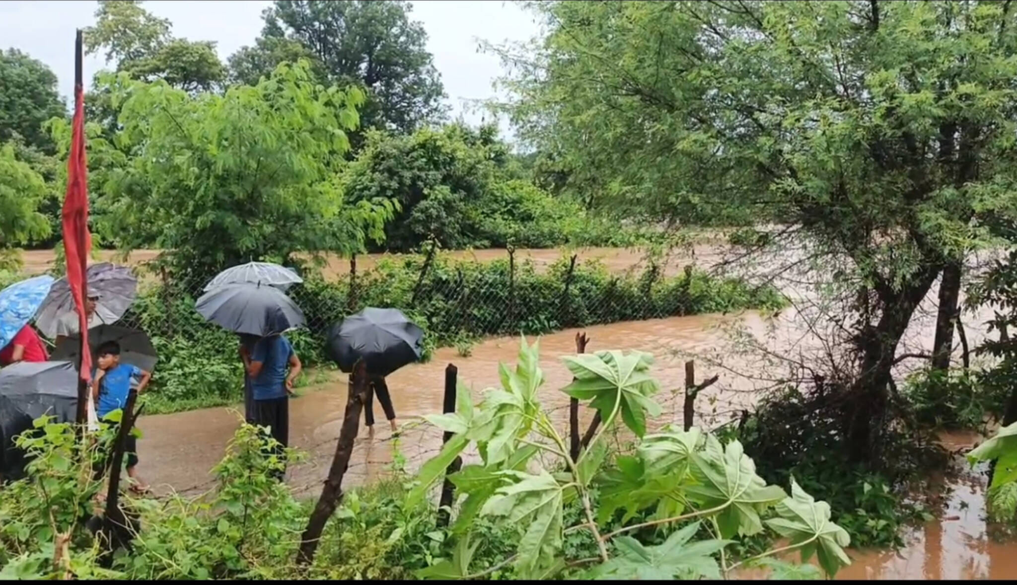 पन्ना में बाघिन नदी खतरे के निशान से ऊपर कलेक्टर ने की चार दिन का अवकाश घोषित लोगों के घरों में