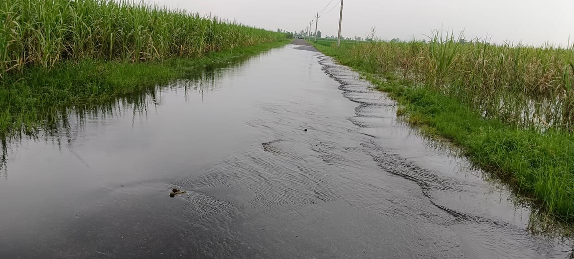 तारापुर के जंगल भरा बारिश का पानी स्रोत संवाद